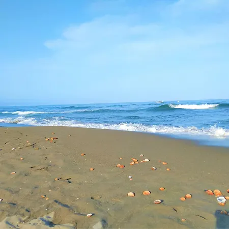 Lovely Sea And Garden View Benalbeach Διαμέρισμα *